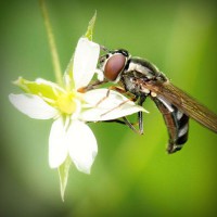 /album/sustentabilidade-renovavel/photolia-a02-jpg/
