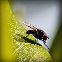 /album/sustentabilidade-renovavel/photolia-a04-jpg/