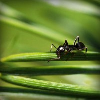 /album/sustentabilidade-renovavel/photolia-a05-jpg/