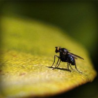 /album/sustentabilidade-renovavel/photolia-a07-jpg/