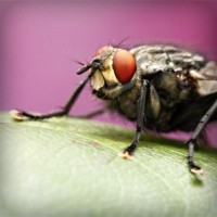 /album/sustentabilidade-renovavel/photolia-a08-jpg/